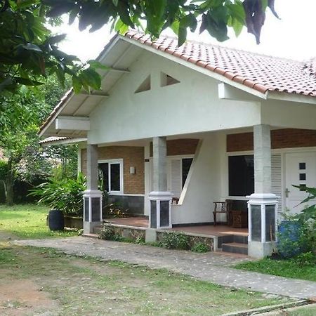 Intan Hotel بورواكارتا المظهر الخارجي الصورة